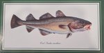 Just Fish Large Signed Print - Unframed